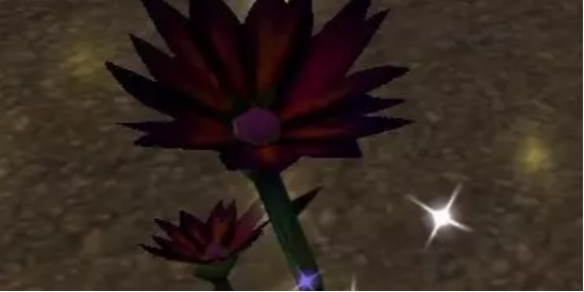 wow魔兽世界纪念服黑莲花在哪里采集