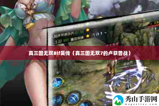 真三国无双8if吴传 装备品质与等级提升,追求极致属性加成
