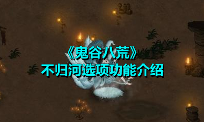 鬼谷八荒不归河选项功能介绍