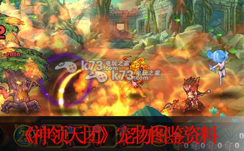 神领天团宠物图鉴资料表:副本高效挑战通关策略