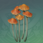 原神豆棕林崛起:新的挑战即将到来