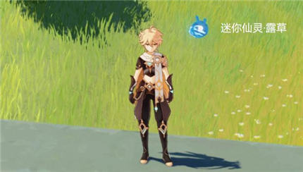 原神秘宝迷踪迷你仙灵兑换推荐