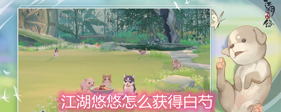 江湖悠悠白芍获取方法一览