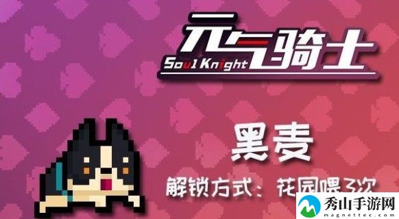 元气骑士柯基黑麦皮肤解锁攻略