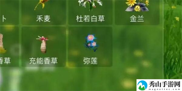 创造吧!我们的星球弥莲位置介绍 新手如何顺利过渡到高玩