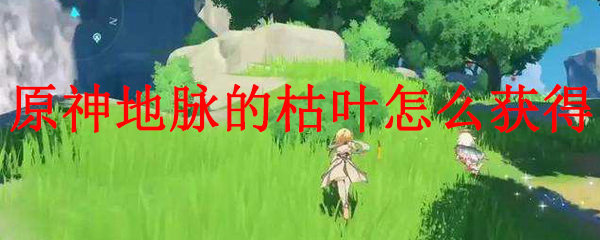 原神地脉的枯叶的获得方法