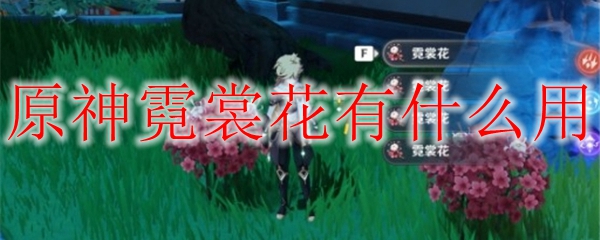 原神霓裳花的作用