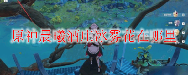 原神晨曦酒庄冰雾花刷新位置
