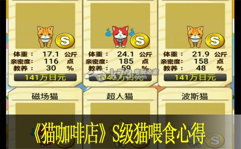 猫咖啡店S级猫喂食心得:提高装备耐久度的小技巧