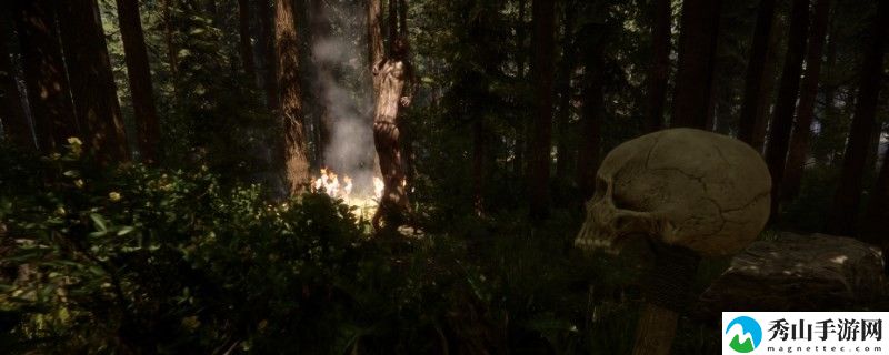 森林之子季节设置代码详细一览2025
