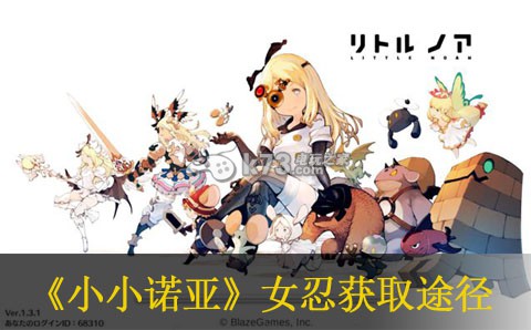 小小诺亚女忍获取途径:稀有道具掉落分析