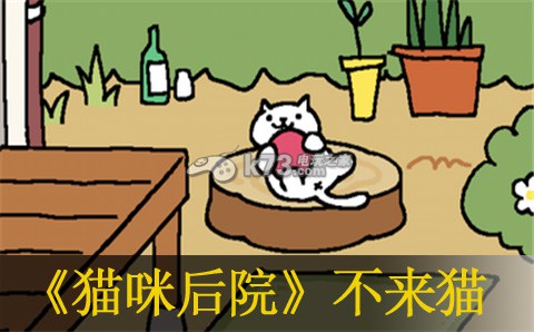 猫咪后院不来猫原因:任务系统的全方位解析