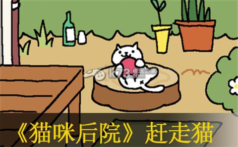 猫咪后院赶走猫方法:破解难点详细攻略