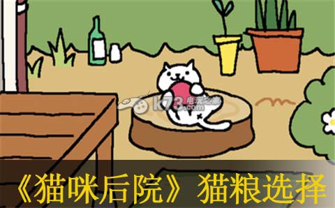 猫咪后院猫粮选择推荐:攻略教你应对难题