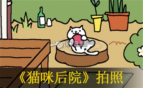 猫咪后院拍照及删除照片方法:合理利用游戏中的连击和暴击机制