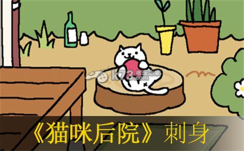猫咪后院摆刺身技巧:选择游戏模式的策略