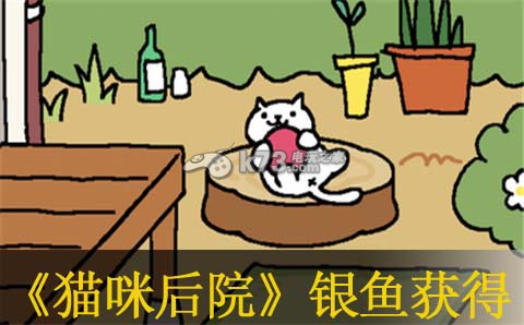 猫咪后院银鱼怎么获得:解锁新能力