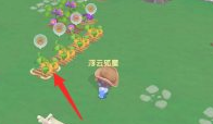 摩尔庄园南瓜怎么种