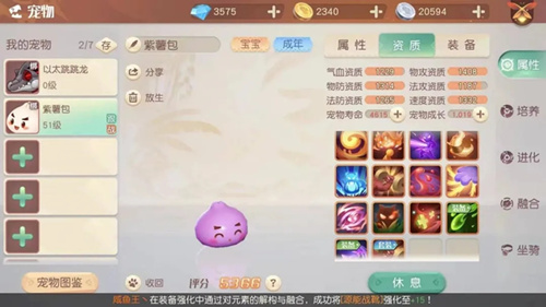 梦想新大陆宠物小笼包介绍