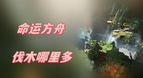 命运方舟伐木位置推荐 攻略助你快速成长