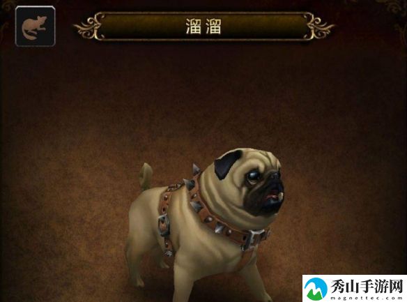 魔兽世界宠物溜溜具体获取指南