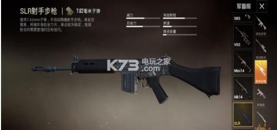 和平精英SLR武器介绍：游戏内排行榜竞争策略与技巧