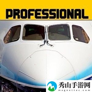 飞行模拟787专业版