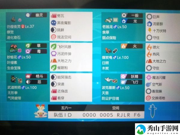 《宝可梦剑盾》S9双打晴花老翁龙队阵容分享