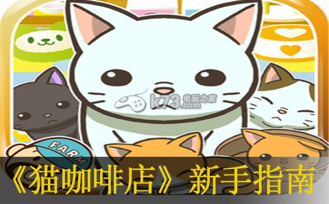 猫咖啡店新手指南：高效刷副本技巧分享