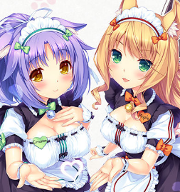 猫娘乐园手游下载