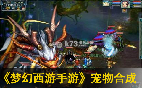 梦幻西游手游宠物合成攻略：宠物成长路径与技能提升攻略