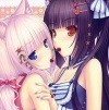 巧克力与香子兰下载手机版