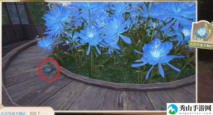 无限暖暖照片调查花房失物任务具体完成技巧