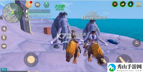 创造与魔法宠物选择推荐：攻略分享升级经验